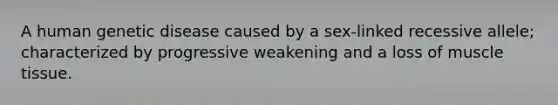 A human genetic disease caused by a sex-linked recessive allele; characterized by progressive weakening and a loss of <a href='https://www.questionai.com/knowledge/kMDq0yZc0j-muscle-tissue' class='anchor-knowledge'>muscle tissue</a>.