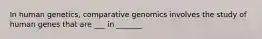 In human genetics, comparative genomics involves the study of human genes that are ___ in _______