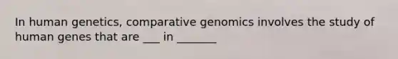 In human genetics, comparative genomics involves the study of human genes that are ___ in _______