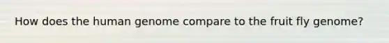 How does the human genome compare to the fruit fly genome?