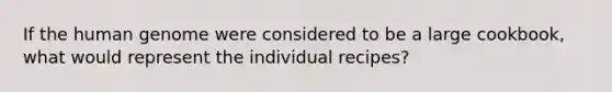 If the human genome were considered to be a large cookbook, what would represent the individual recipes?