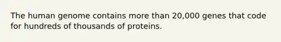 The human genome contains more than 20,000 genes that code for hundreds of thousands of proteins.