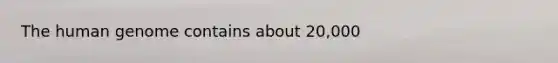 The human genome contains about 20,000