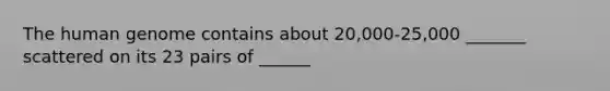 The human genome contains about 20,000-25,000 _______ scattered on its 23 pairs of ______