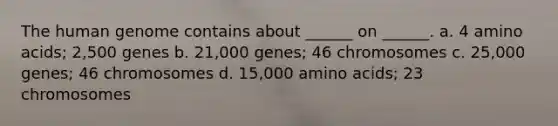 The human genome contains about ______ on ______. a. 4 amino acids; 2,500 genes b. 21,000 genes; 46 chromosomes c. 25,000 genes; 46 chromosomes d. 15,000 amino acids; 23 chromosomes