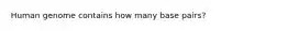 Human genome contains how many base pairs?