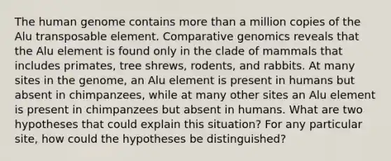 The human genome contains more than a million copies of the Alu transposable element. Comparative genomics reveals that the Alu element is found only in the clade of mammals that includes primates, tree shrews, rodents, and rabbits. At many sites in the genome, an Alu element is present in humans but absent in chimpanzees, while at many other sites an Alu element is present in chimpanzees but absent in humans. What are two hypotheses that could explain this situation? For any particular site, how could the hypotheses be distinguished?