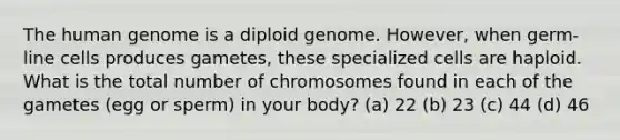 The human genome is a diploid genome. However, when germ-line cells produces gametes, these specialized cells are haploid. What is the total number of chromosomes found in each of the gametes (egg or sperm) in your body? (a) 22 (b) 23 (c) 44 (d) 46