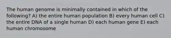 The human genome is minimally contained in which of the following? A) the entire human population B) every human cell C) the entire DNA of a single human D) each human gene E) each human chromosome