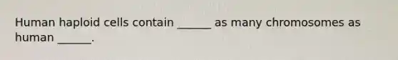 Human haploid cells contain ______ as many chromosomes as human ______.
