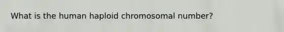 What is the human haploid chromosomal number?