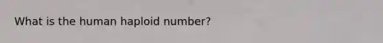 What is the human haploid number?