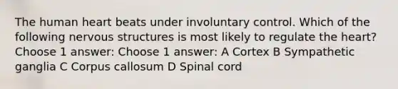 The human heart beats under involuntary control. Which of the following nervous structures is most likely to regulate the heart? Choose 1 answer: Choose 1 answer: A Cortex B Sympathetic ganglia C Corpus callosum D Spinal cord