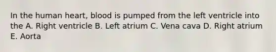 In the human heart, blood is pumped from the left ventricle into the A. Right ventricle B. Left atrium C. Vena cava D. Right atrium E. Aorta