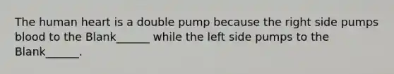 The human heart is a double pump because the right side pumps blood to the Blank______ while the left side pumps to the Blank______.