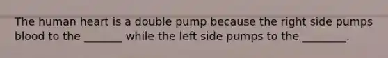 The human heart is a double pump because the right side pumps blood to the _______ while the left side pumps to the ________.