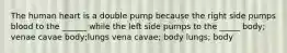 The human heart is a double pump because the right side pumps blood to the ______ while the left side pumps to the _____ body; venae cavae body;lungs vena cavae; body lungs; body