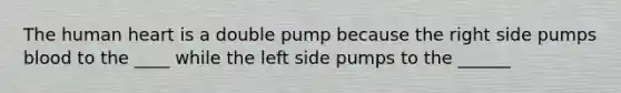 The human heart is a double pump because the right side pumps blood to the ____ while the left side pumps to the ______