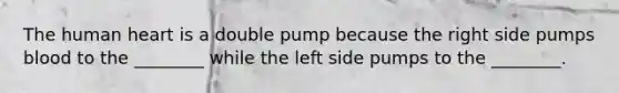 The human heart is a double pump because the right side pumps blood to the ________ while the left side pumps to the ________.