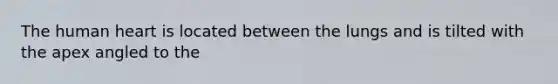 The human heart is located between the lungs and is tilted with the apex angled to the