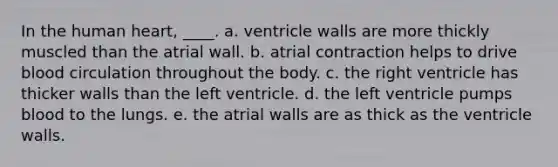 In the human heart, ____. a. ventricle walls are more thickly muscled than the atrial wall. b. atrial contraction helps to drive blood circulation throughout the body. c. the right ventricle has thicker walls than the left ventricle. d. the left ventricle pumps blood to the lungs. e. the atrial walls are as thick as the ventricle walls.