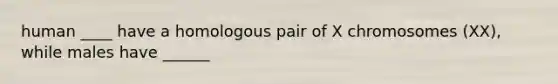 human ____ have a homologous pair of X chromosomes (XX), while males have ______