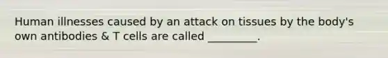 Human illnesses caused by an attack on tissues by the body's own antibodies & T cells are called _________.