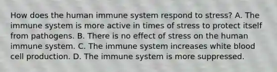 How does the human immune system respond to stress? A. The immune system is more active in times of stress to protect itself from pathogens. B. There is no effect of stress on the human immune system. C. The immune system increases white blood cell production. D. The immune system is more suppressed.