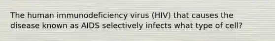 The human immunodeficiency virus (HIV) that causes the disease known as AIDS selectively infects what type of cell?