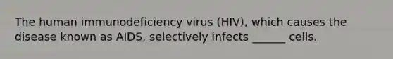 The human immunodeficiency virus (HIV), which causes the disease known as AIDS, selectively infects ______ cells.