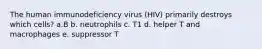 The human immunodeficiency virus (HIV) primarily destroys which cells? a.B b. neutrophils c. T1 d. helper T and macrophages e. suppressor T