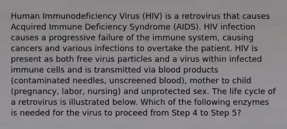 Human Immunodeficiency Virus (HIV) is a retrovirus that causes Acquired Immune Deficiency Syndrome (AIDS). HIV infection causes a progressive failure of the immune system, causing cancers and various infections to overtake the patient. HIV is present as both free virus particles and a virus within infected immune cells and is transmitted via blood products (contaminated needles, unscreened blood), mother to child (pregnancy, labor, nursing) and unprotected sex. The life cycle​ of a retrovirus is illustrated below. Which of the following enzymes is needed for the virus to proceed from Step 4 to Step 5?