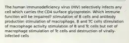 The human immunodeficiency virus (HIV) selectively infects any cell which carries the CD4 surface glycoprotein. Which immune function will be impaired? stimulation of B cells and antibody production stimulation of macrophage, B and TC cells stimulation of macrophage activity stimulation of B and Tc cells but not of macrophage stimulation of Tc cells and destruction of virally-infected cells