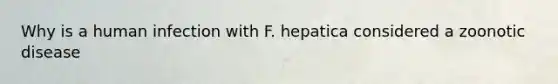 Why is a human infection with F. hepatica considered a zoonotic disease