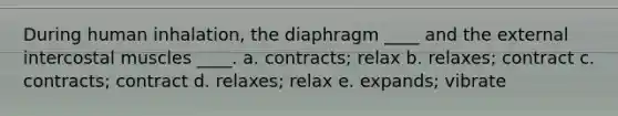 During human inhalation, the diaphragm ____ and the external intercostal muscles ____.​ a. ​contracts; relax b. ​relaxes; contract c. ​contracts; contract d. ​relaxes; relax e. ​expands; vibrate