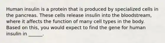 Human insulin is a protein that is produced by specialized cells in the pancreas. These cells release insulin into the bloodstream, where it affects the function of many cell types in the body. Based on this, you would expect to find the gene for human insulin in ______.