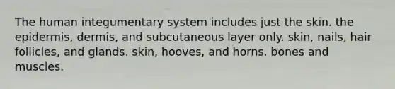 The human integumentary system includes just the skin. <a href='https://www.questionai.com/knowledge/kBFgQMpq6s-the-epidermis' class='anchor-knowledge'>the epidermis</a>, dermis, and subcutaneous layer only. skin, nails, hair follicles, and glands. skin, hooves, and horns. bones and muscles.