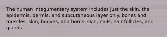 The human integumentary system includes just the skin. the epidermis, dermis, and subcutaneous layer only. bones and muscles. skin, hooves, and horns. skin, nails, hair follicles, and glands.