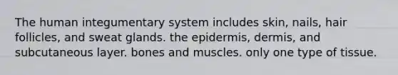 The human integumentary system includes skin, nails, hair follicles, and sweat glands. the epidermis, dermis, and subcutaneous layer. bones and muscles. only one type of tissue.