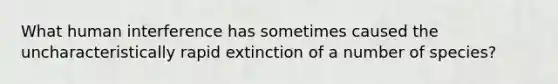 What human interference has sometimes caused the uncharacteristically rapid extinction of a number of species?