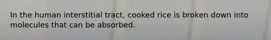 In the human interstitial tract, cooked rice is broken down into molecules that can be absorbed.