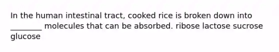 In the human intestinal tract, cooked rice is broken down into ________ molecules that can be absorbed. ribose lactose sucrose glucose