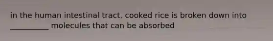 in the human intestinal tract, cooked rice is broken down into __________ molecules that can be absorbed