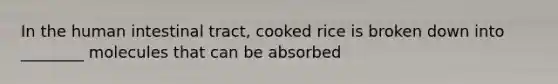 In the human intestinal tract, cooked rice is broken down into ________ molecules that can be absorbed