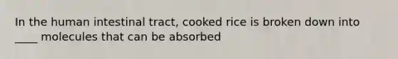 In the human intestinal tract, cooked rice is broken down into ____ molecules that can be absorbed