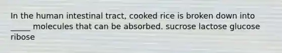 In the human intestinal tract, cooked rice is broken down into _____ molecules that can be absorbed. sucrose lactose glucose ribose