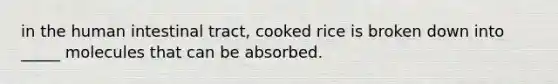 in the human intestinal tract, cooked rice is broken down into _____ molecules that can be absorbed.