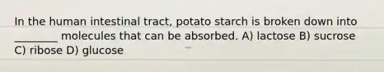 In the human intestinal tract, potato starch is broken down into ________ molecules that can be absorbed. A) lactose B) sucrose C) ribose D) glucose