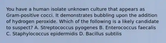 You have a human isolate unknown culture that appears as Gram-positive cocci. It demonstrates bubbling upon the addition of hydrogen peroxide. Which of the following is a likely candidate to suspect? A. Streptococcus pyogenes B. Enterococcus faecalis C. Staphylococcus epidermidis D. Bacillus subtilis