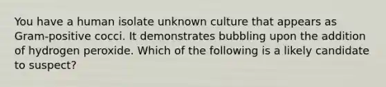 You have a human isolate unknown culture that appears as Gram-positive cocci. It demonstrates bubbling upon the addition of hydrogen peroxide. Which of the following is a likely candidate to suspect?